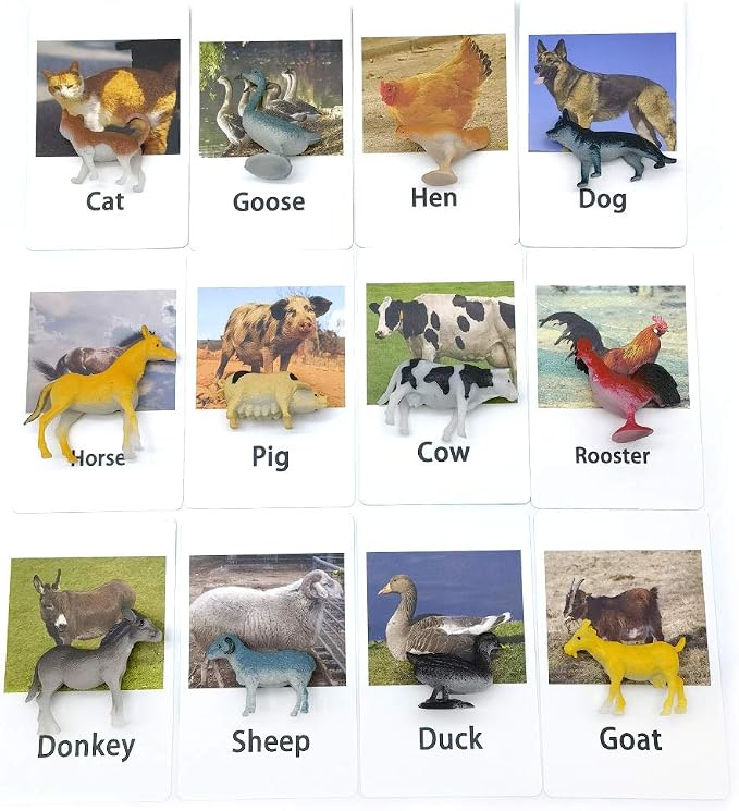 MEROCO Montessori Animal Match Cards Miniature Poultry Animals - Image 3