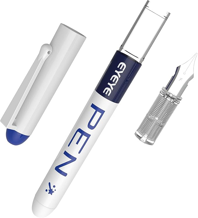 EYEYE Fountain Pens for Writing, 8 Pack Assorted Colors Fine Point Disposable Fountain Pens Stainless Steel Nib, Smooth Writing for Calligraphy, Journaling, Drafting, Sketching, Doodling & Gifts-DeskLoop Office