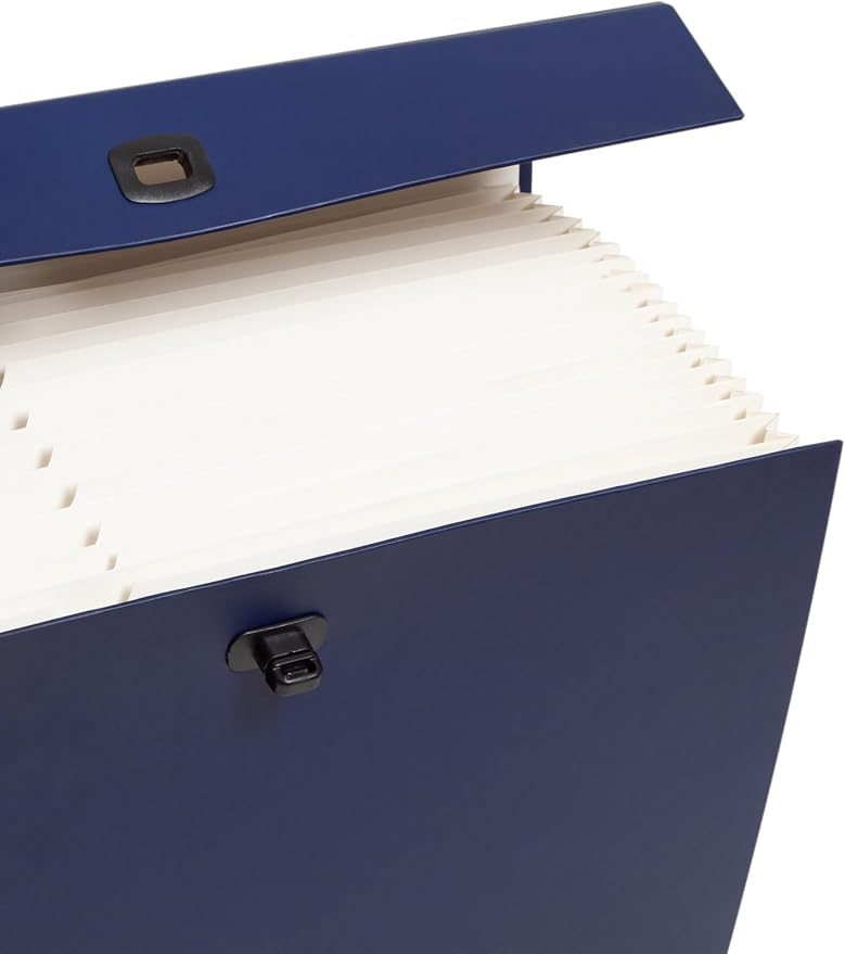 Smead Portable Expanding File Box, 19 Pockets, Blank Tabs, Printed Labels - Image 5