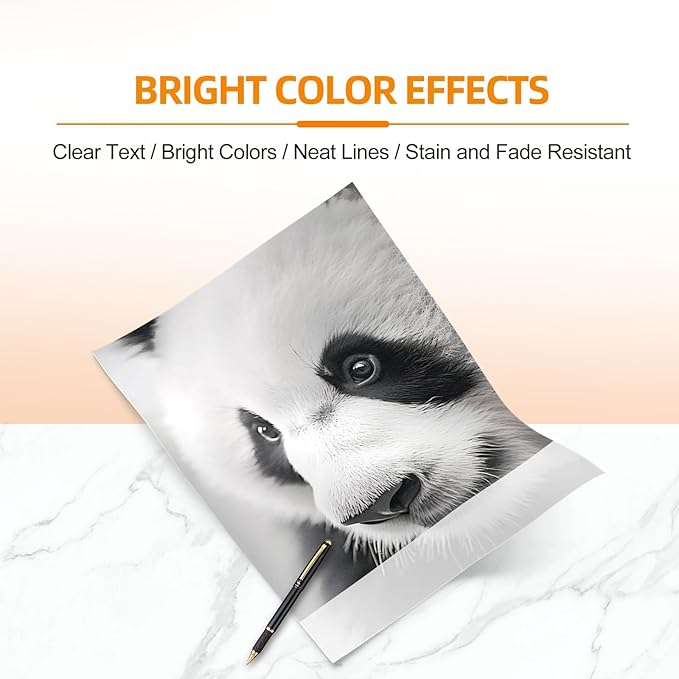 Remanufactured Ink Cartridges Replacement for Epson 822 822XL Ink Cartridges for Workforce Pro WF-3823 WF-4833 WF-4830 WF-4820 (2Black)-DeskLoop Office