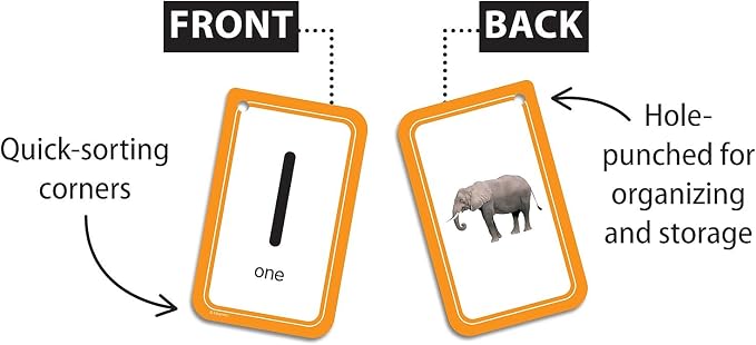Teacher Created Resources Numbers 0–25 Flash Cards - Image 5