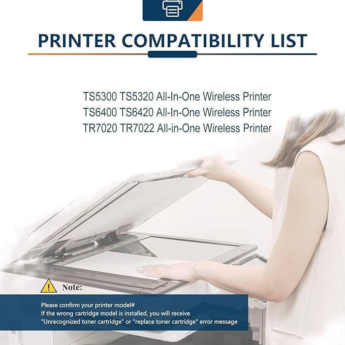 Ankink Compatible Ink Cartridge Replacement for Canon 260 260XL PG260 XL PG 260 Black Cartridges for Cannon TR7020a TR7022 TS6400 TS6420 TS6420a TS5300 TS5320 All in One Printer (2 Black)-DeskLoop Office