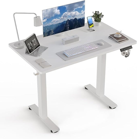 40 * 24 Electric Standing Desk, Adjustable Height Sit Stand Up Desk, Motorized Home Office Computer Gaming Workstation Desk-DeskLoop Office