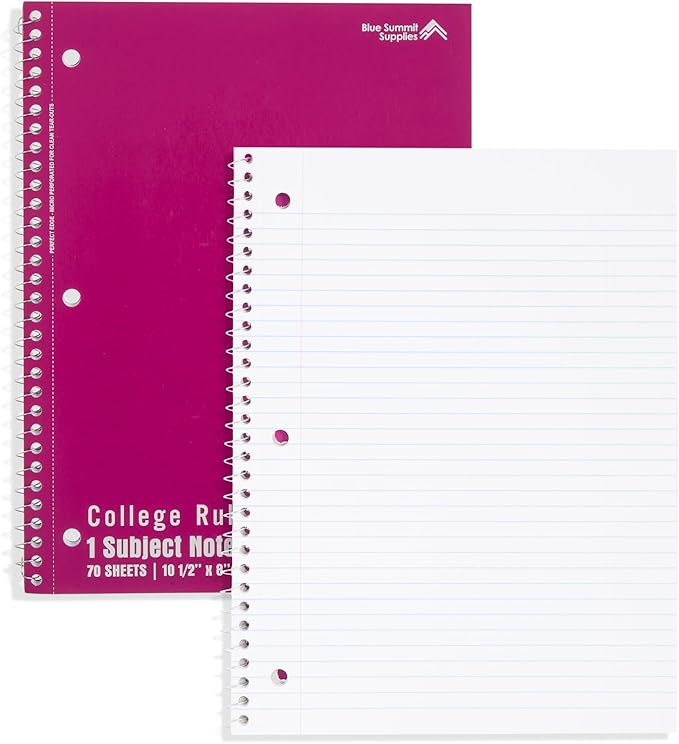 Blue Summit Spiral Notebooks Bulk, One Subject Spiral Notebook College Ruled, Perforated Notebook, 8 x 10.5 for Work and School, Paper, College Ruled, Bulk 12 Pack-DeskLoop Office