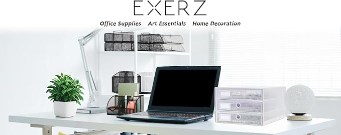 Exerz Paper Sorter 3 Drawer Wire Mesh A4 / Desk Multifunctional Desk - Image 2