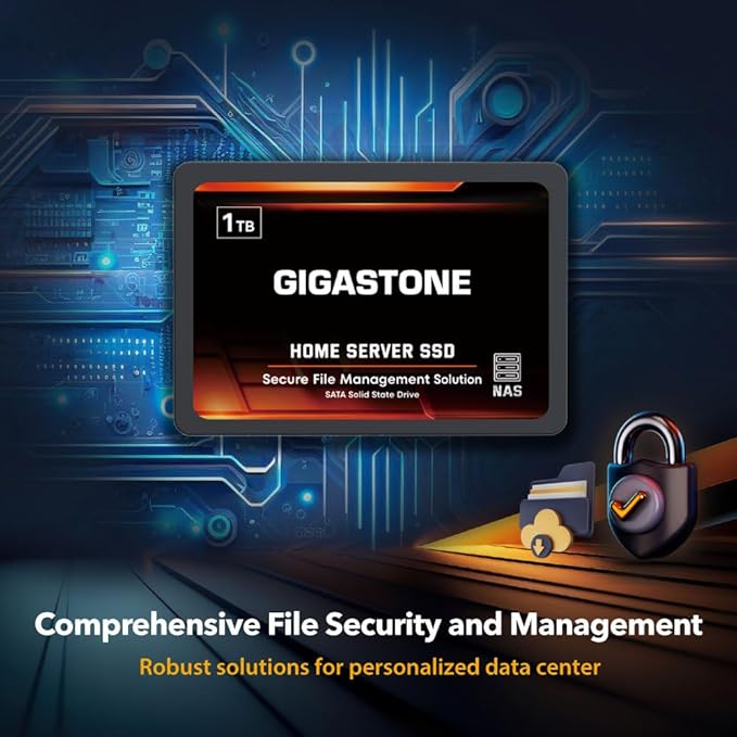 Gigastone Home Server SSD 512GB NAS SSD Drive Cache (2-Pack) 24/7 Durable TLC High Endurance Personal Cloud Data Sync Network Attached Storage RAID 3D NAND 2.5" SATA Internal Solid State Hard Drives-DeskLoop Office