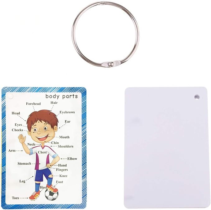 SANTSUN Set of Body Parts Kid Flashcards - Image 2