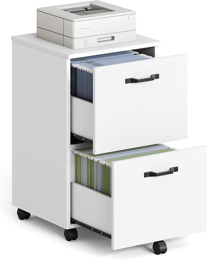 VASAGLE 2-Drawer File Cabinet, Small Rolling Filing Cabinet for Home Office, Printer Stand, for A4, Letter-Size Documents, 15.7 x 16.5 x 27.6 Inches, Snow White UOFC040W46-DeskLoop Office
