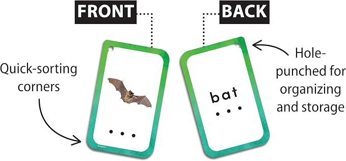 Decoding CVC Words Flash Cards - Image 2