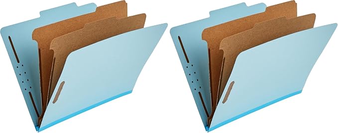 Amazon Basics Classification Folder by AmazonBasics