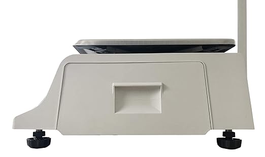 VisionTechShop DLP-300 Label Printing Scale Pole Display, 30/60lbs Capacity, 0.01/0.02lbs, NTEP Legal for Trade with a Free 1 case CAS LST-8010 UPC Label, 58 x 40mm-DeskLoop Office