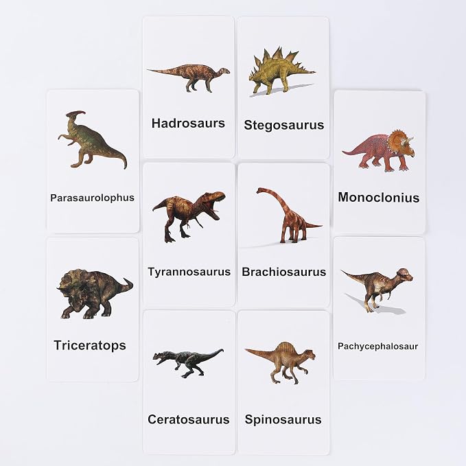 MEROCO Dinosaur Animal Flash Cards - Image 3