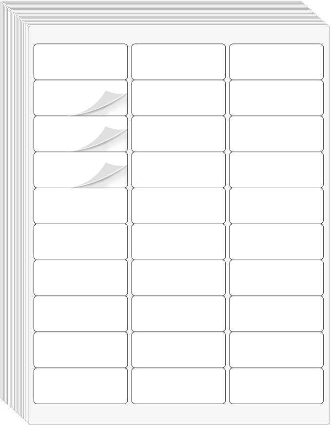 1" x 2-5/8" Address Labels 3000 Labels Sticker Paper by Batrical