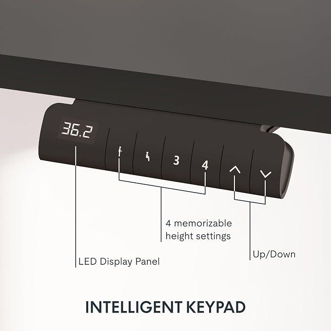 FLEXISPOT E6 3-Stage Dual Motor Electric Standing Desk 48 x 30 Sit Stand Up Desk - Image 4
