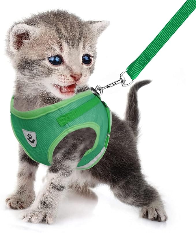 FEimaX Dog Harness and Leash Set - Image 2