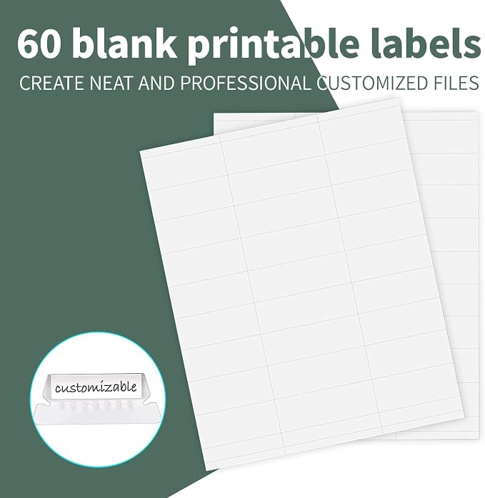 HERKKA Extra Capacity Hanging File Folders, 60 Pack Reinforced Letter Size - Image 6