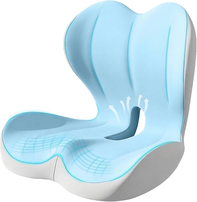 Seat Cushion for Office Chair and Car, Lumbar Support Pillow for Office Chair by Unknown