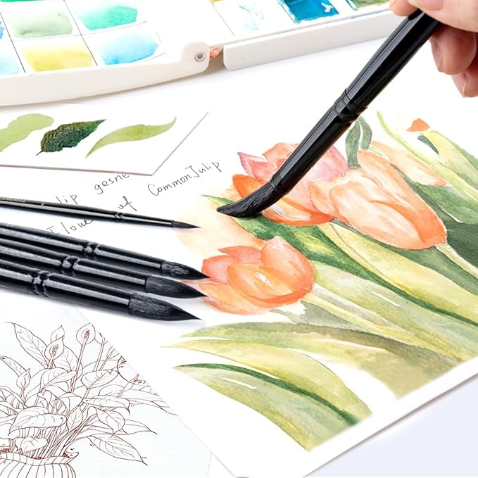 Transon 8pcs Round Watercolor Paint Brush Set Goat Hair for Watercolors,Acrylics,Inks,Gouache,Oil and Tempera Black Color-DeskLoop Office