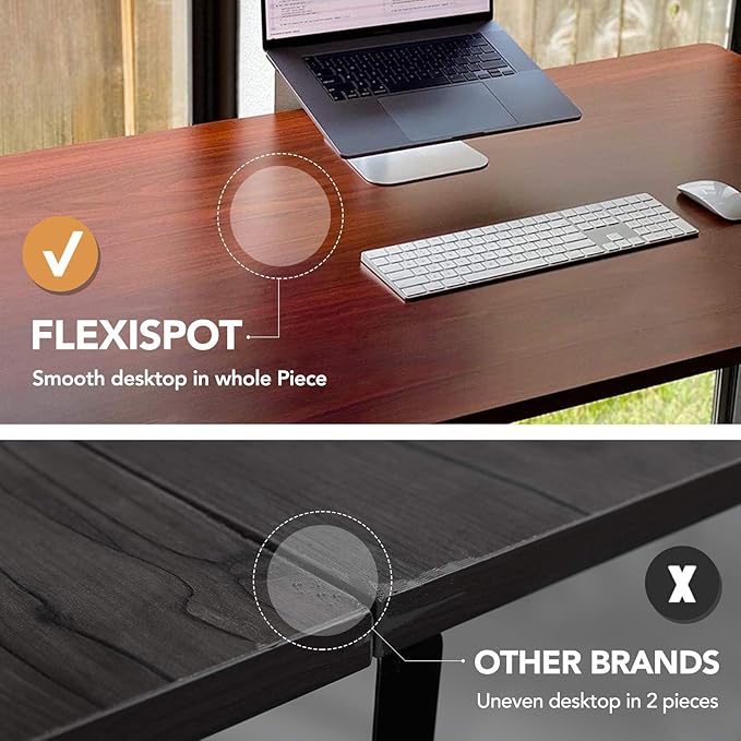 FLEXISPOT EN1 Whole-Piece Standing Desk, 48 x 30 Inches Electric Adjustable Desk for Home Office (Silver Frame + 48 in Mahogany Top, 2 Packages)-DeskLoop Office
