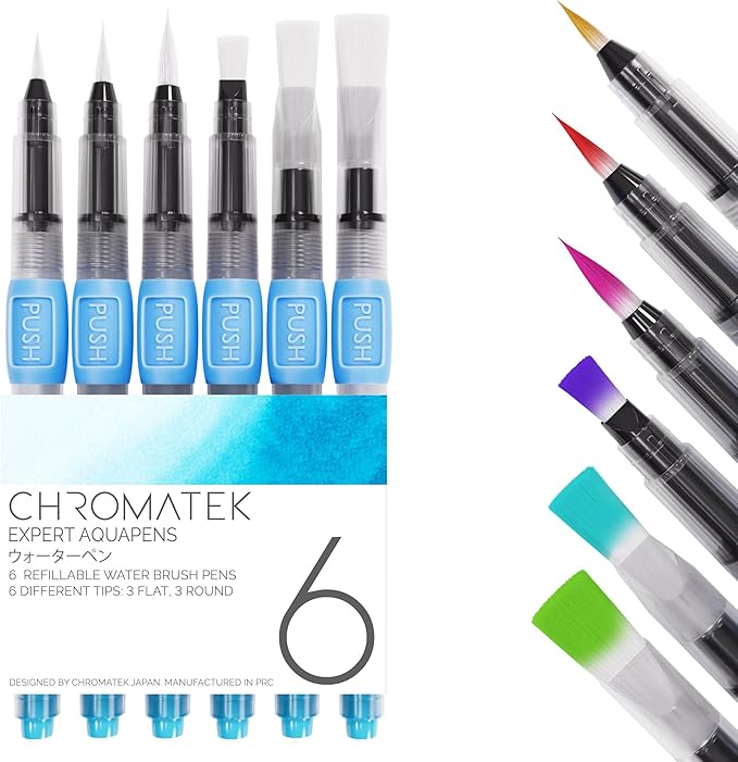 aquapens Water Brush Pens for Painting - 6 Pack - Water Drawing Brush Pens with 6 Different nibs - Portable Watercolor Brush Pens for Artists - Water Brush Pens for Kids and Adults-DeskLoop Office