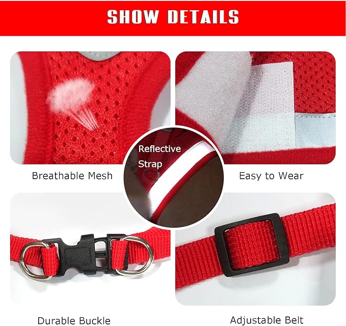 FEimaX Dog Harness and Leash Set - Image 4