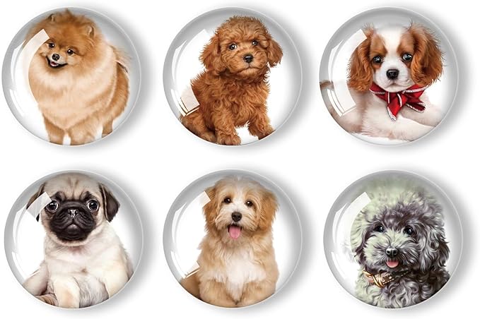 12Pcs Glass Refrigerator Magnet Fridge Sticker,Dog Fridge Magnets Decoration for Crafts,Strong Fridge Magnets for Kitchen, School,Office Whiteboard, Cabinet and Dishwasher-DeskLoop Office
