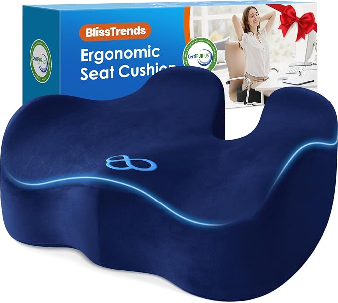 BlissTrends Extra Thick Seat Cushion by BlissTrends
