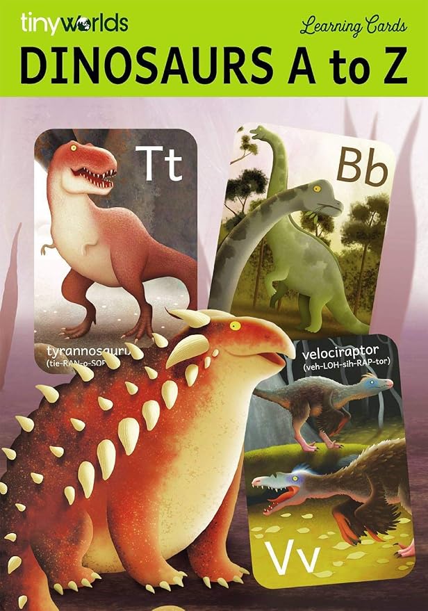 Dinosaur ABC Flash Cards, Alphabet A to Z Dinosaurs flashcards - Image 8