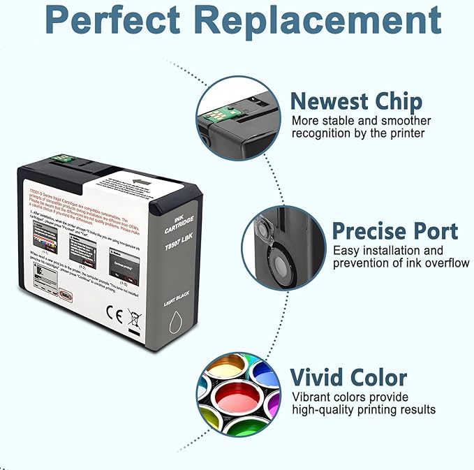T850 Ink Cartridge T8507 T850700 Remanufactured Work for SureColor P800 (1-Pack, Light Black)-DeskLoop Office