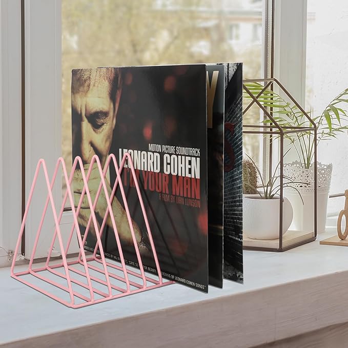 EASEPRES Vinyl Record Holder Storage, 9 Slot Metal Magazine Book Album Display - Image 6