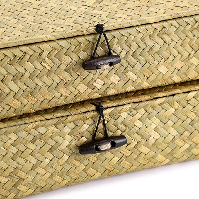 Hipiwe Natural Seagrass Storage Bins - Image 4