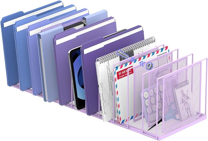 File Organizer for Desk, 11-Section Vertical File Sorter, Paper Holder by JMHUD