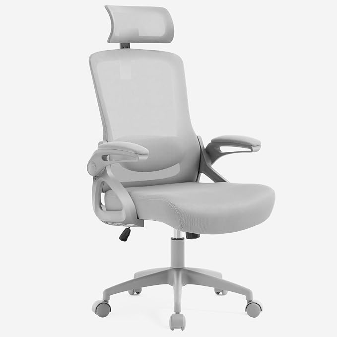 Fizzin Office Chair, Ergonomic Office Chair by Unknown