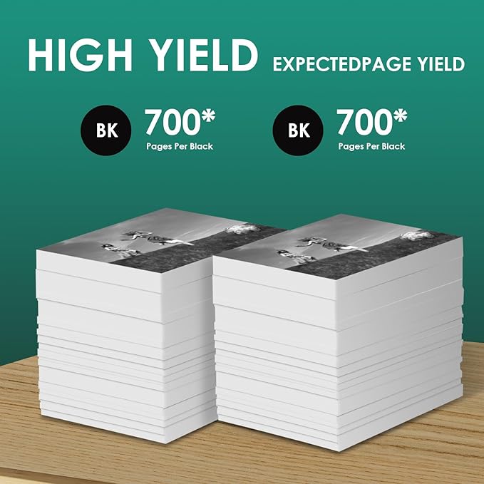 667XL 667 XL 667 Ink Cartridges Replacement for hp 667 Ink cartridges Black and Color Work for Deskjet Ink Advantage 1275 2375 2775, Deskjet Ink Advantage Plus 6075 6475 6476 (2 Black)-DeskLoop Office