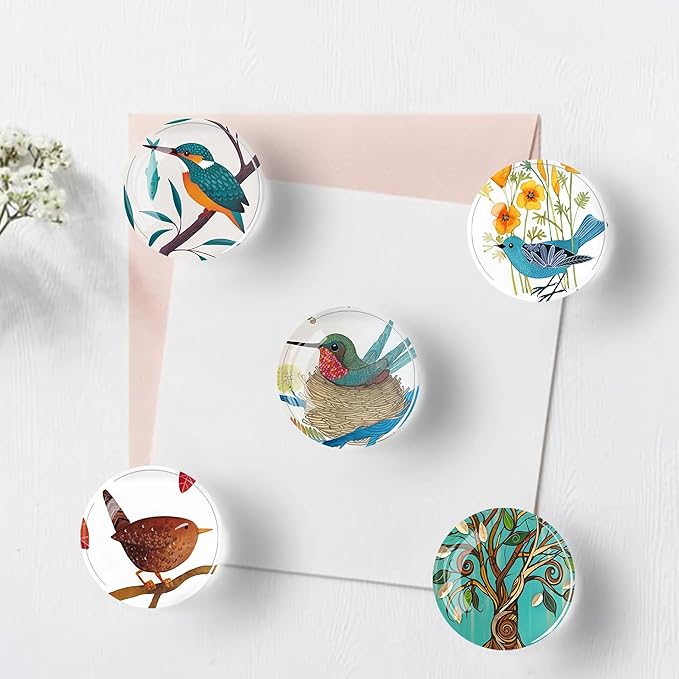12Pcs Glass Refrigerator Magnet Fridge Sticker,Bird Fridge Magnets Decoration for Crafts,Strong Fridge Magnets for Kitchen, School,Office Whiteboard, Cabinet and Dishwasher-DeskLoop Office