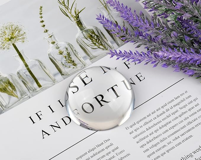 DS. DISTINCTIVE STYLE Paperweight Paper Weights - Image 4