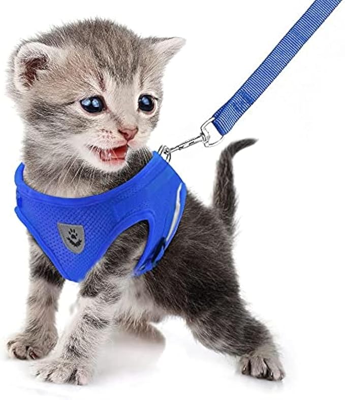 FEimaX Dog Harness and Leash Set by FEimaX