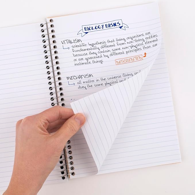 Five Star Spiral Notebooks, 6 Pack, 2 Subject, College Ruled, 9 1/2" x 6" - Image 2