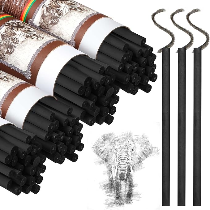 Gueevin 100 Pcs Willow Charcoal Sticks, Willow Charcoal, Artists, Beginners, Students, Perfect for Sketching, Drawing, Shading, and Fine Art (5-7mm)-DeskLoop Office