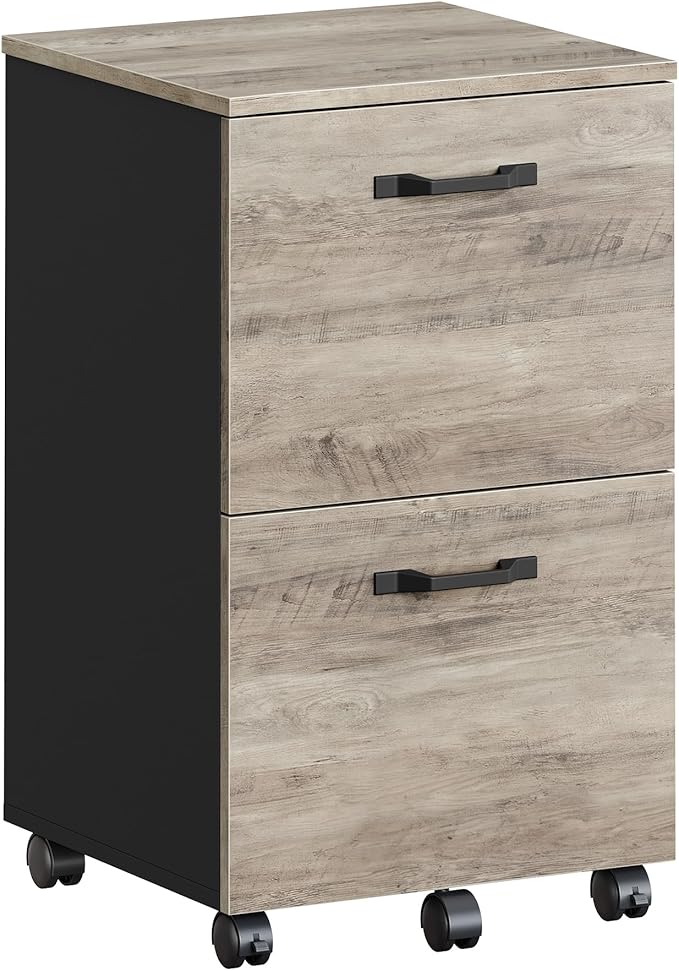 VASAGLE 2-Drawer File Cabinet, Small Rolling Filing Cabinet for Home Office, Printer Stand, for A4, Letter-Size Documents, 15.7 x 16.5 x 27.6 Inches, Heather Greige and Ink Black UOFC040B02-DeskLoop Office
