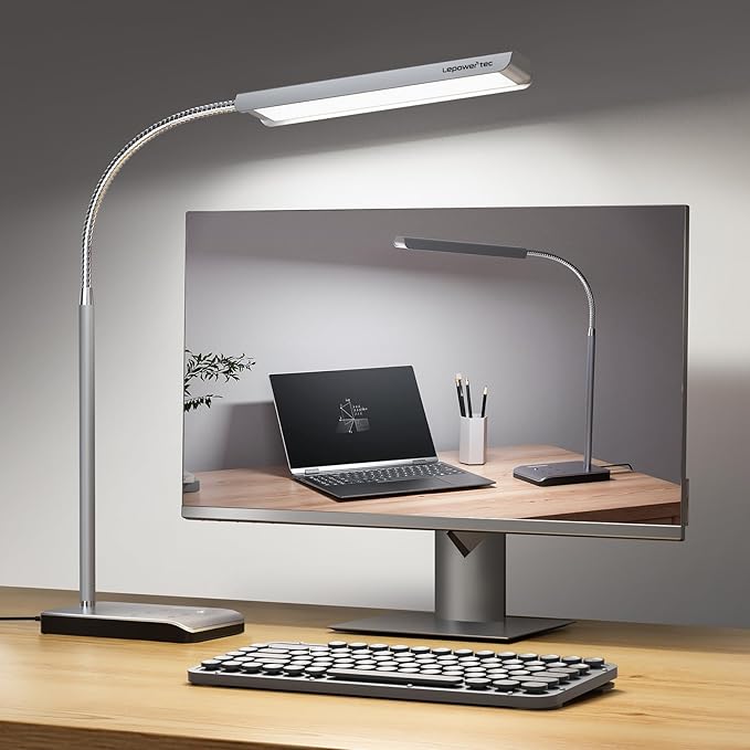 LED Desk Lamp, 12W Reading Desk Lamp for Office Home with 60 Lighting Modes, Touch Control & Timer Function, 750LM Bright Eye-Caring Gooseneck Desk Light Table Lamp for Study, Work, Silver-DeskLoop Office