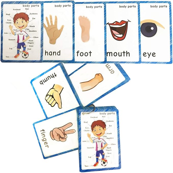 SANTSUN Set of Body Parts Kid Flashcards - Image 4