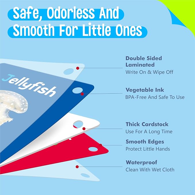 50 PCS Early Learning Flashcards, 7 in 1 Double Sided Cards- Alphabet, Colors - Image 3