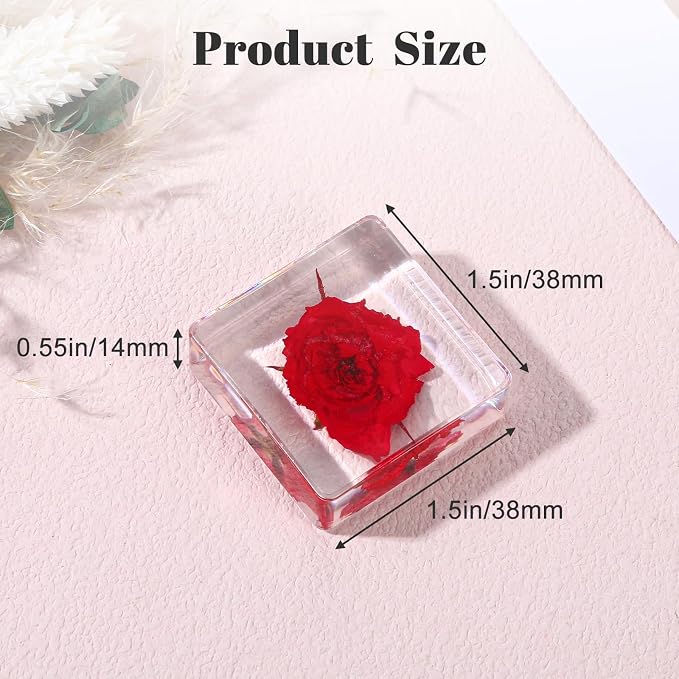6Pcs Pressed Flower Paper Weights, Real Flower Resin Crafts, Pattern Weights - Image 2