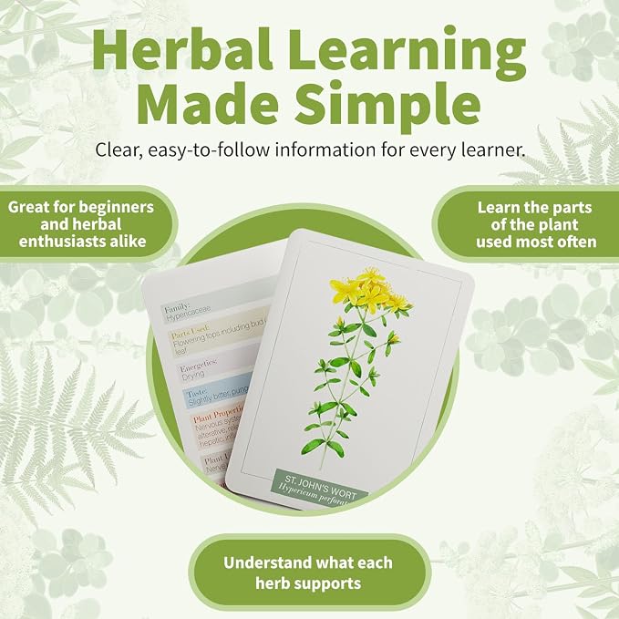 Herb Notes Flash Cards – Educational Plant Learning Cards - Image 3