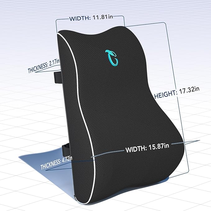 Lumbar Support Pillow for Office Chair & Car, Ergonomic Back Support Memory Foam Back Cushion with 3D Washable Cover, Relieves Back Pain for Driving, Gaming, Truck, Recliner-DeskLoop Office