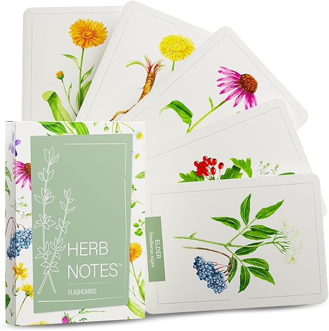 Herb Notes Flash Cards – Educational Plant Learning Cards by LearningHerbs