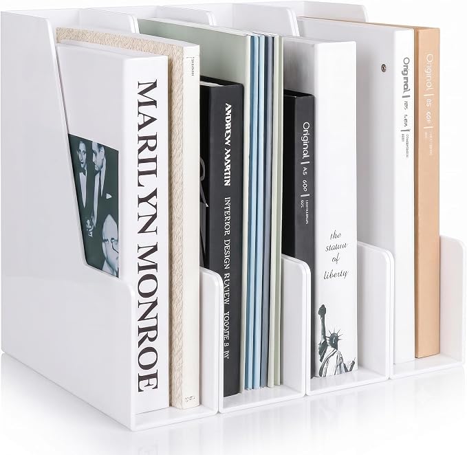 LALOBLUE Vertical Magazine File Holder, 4 Pack Folder Organizer | Plastic by Laloblue
