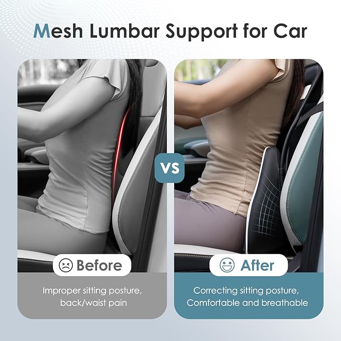 FLORICH Double Layer Breathable Mesh Lumbar Support Ergonomic Leather Lumbar Support Pillow with 3D Mesh Back Support and Adjustable Strap for CarSeat & Office Chair-DeskLoop Office