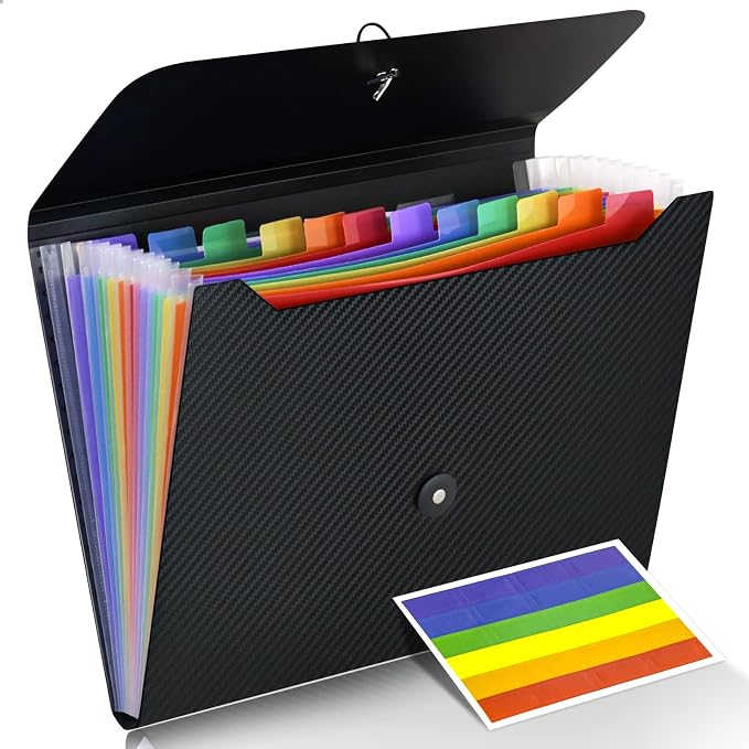 Cesil Accordian File Organizer Expanding File Folder, 13 Pockets, A4 Letter by CesilOfficeSupplies